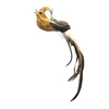 Brown Magpie Replacement Head
