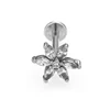 plata 1