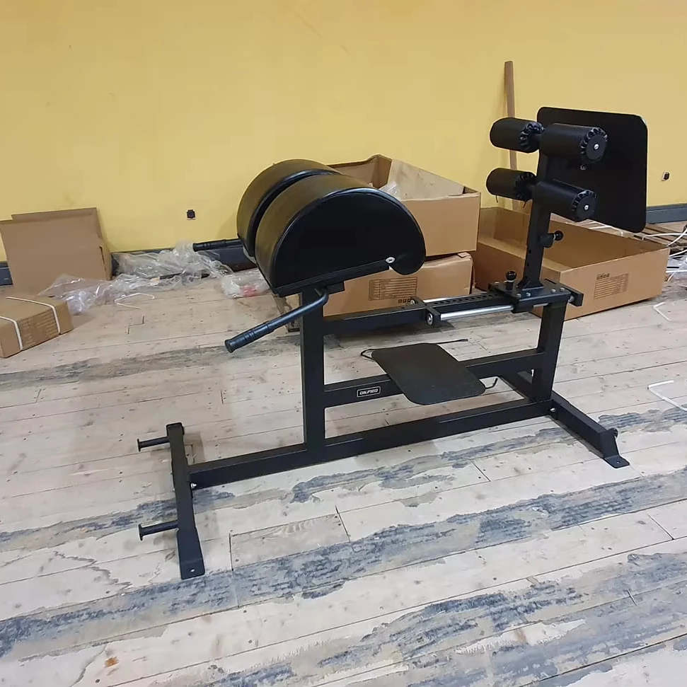 GHD/Glute Hamstring Developer High Quality Glute Ham Developer Glute Ham Developer Bench Gym and Commercial Used Machine