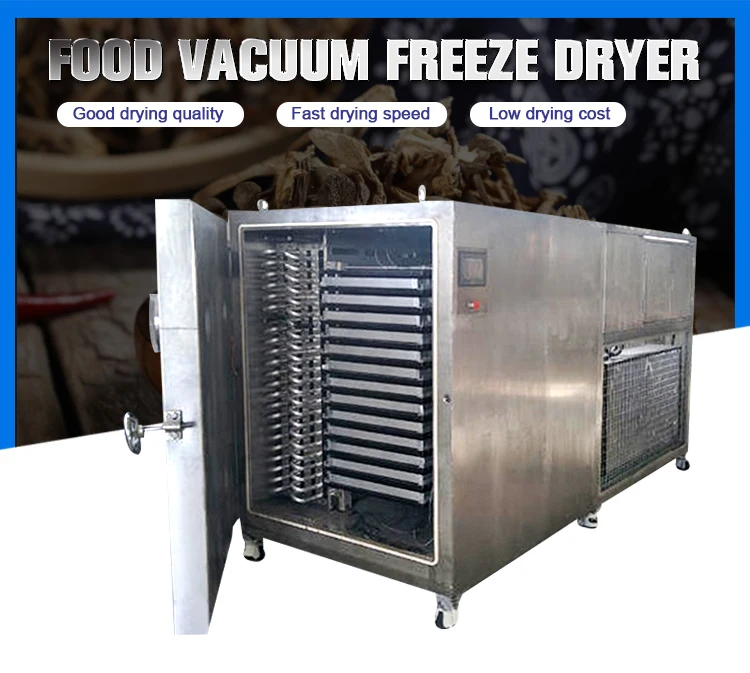Commercial Lyophilization Homemade Food Freeze Dryer Commercial Vacuum