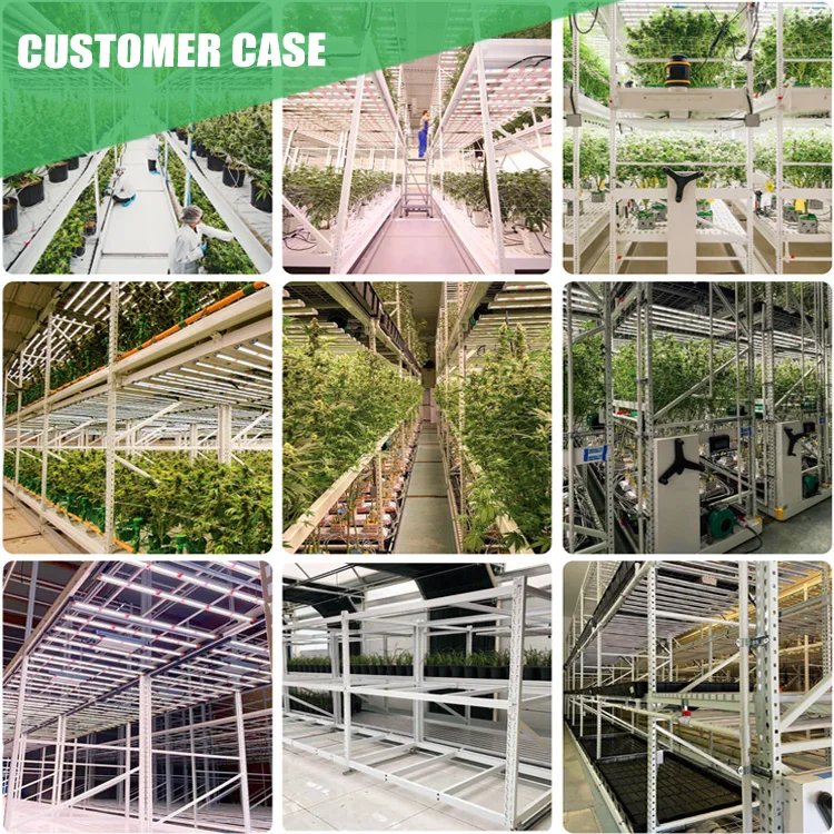 Growing Rack Vertical Farming Mobile Vertical Grow Rack Systems Buy Grow Rack Vertical Farming