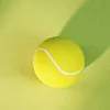 gwj006 Solid Tennis Ball - Lemon Yellow