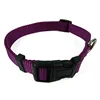 Collar púrpura