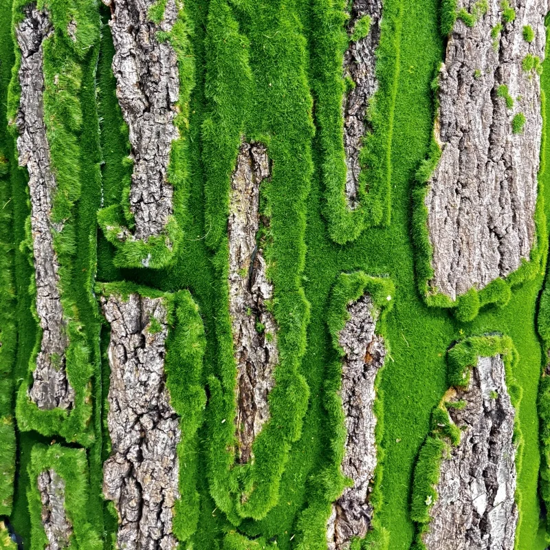 Oak Tree Bark Synthetic Moss Bark Wall Simulate Tree Bark with Moss