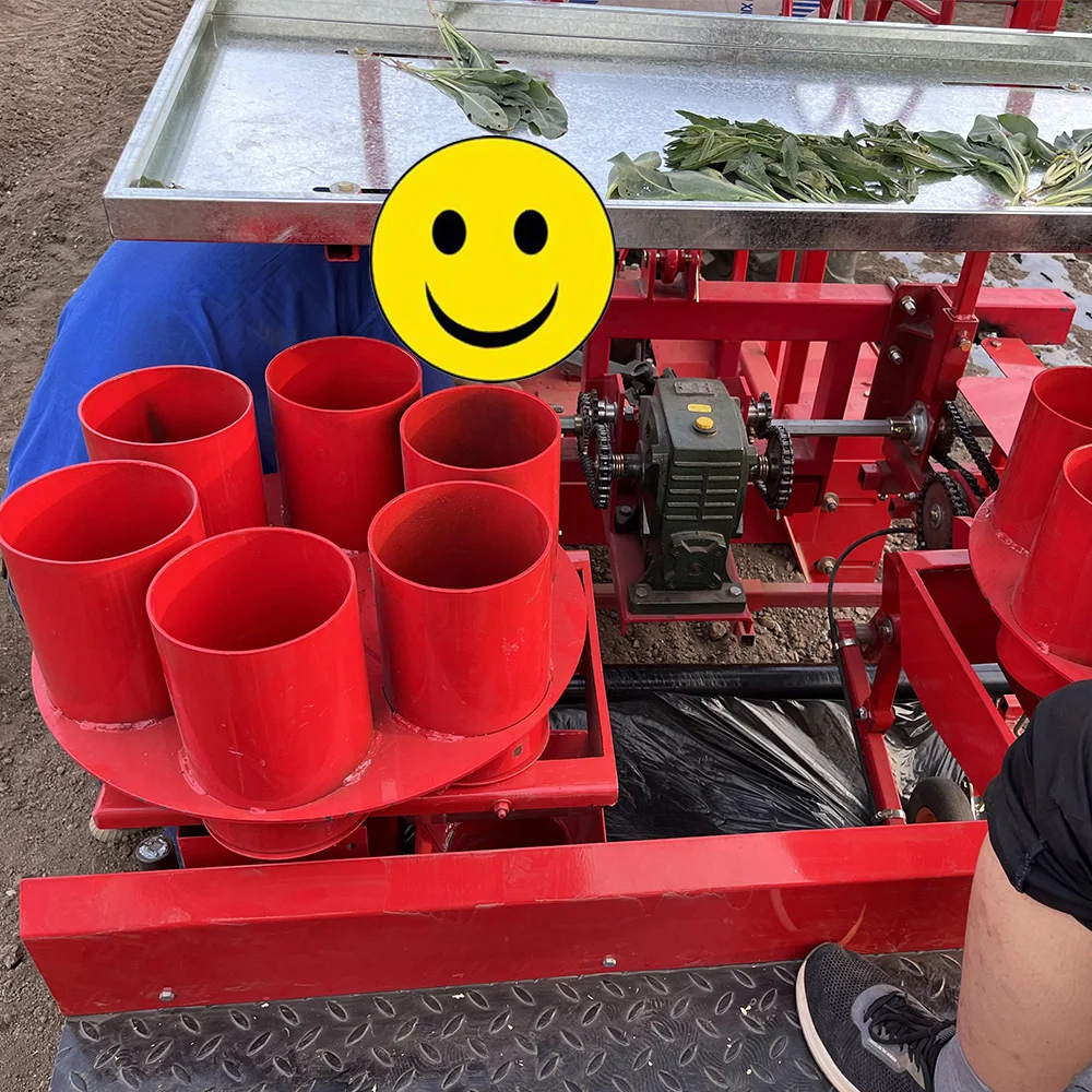 ZWZGブランド2列パイナップルトランスプランター多機能ギアとギア