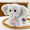 Baby Elephant