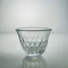 Transparent RC024-ZS
