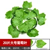 Large size, 20 grape leaves (12 pieces)