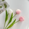 2 tulipanes gorditos rosas y 1 blanco