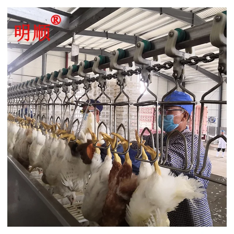 Poultry Slaughtering Production Line  1000-2000bph Halal Chicken Slaughtering Machine Chicken Slaughter House