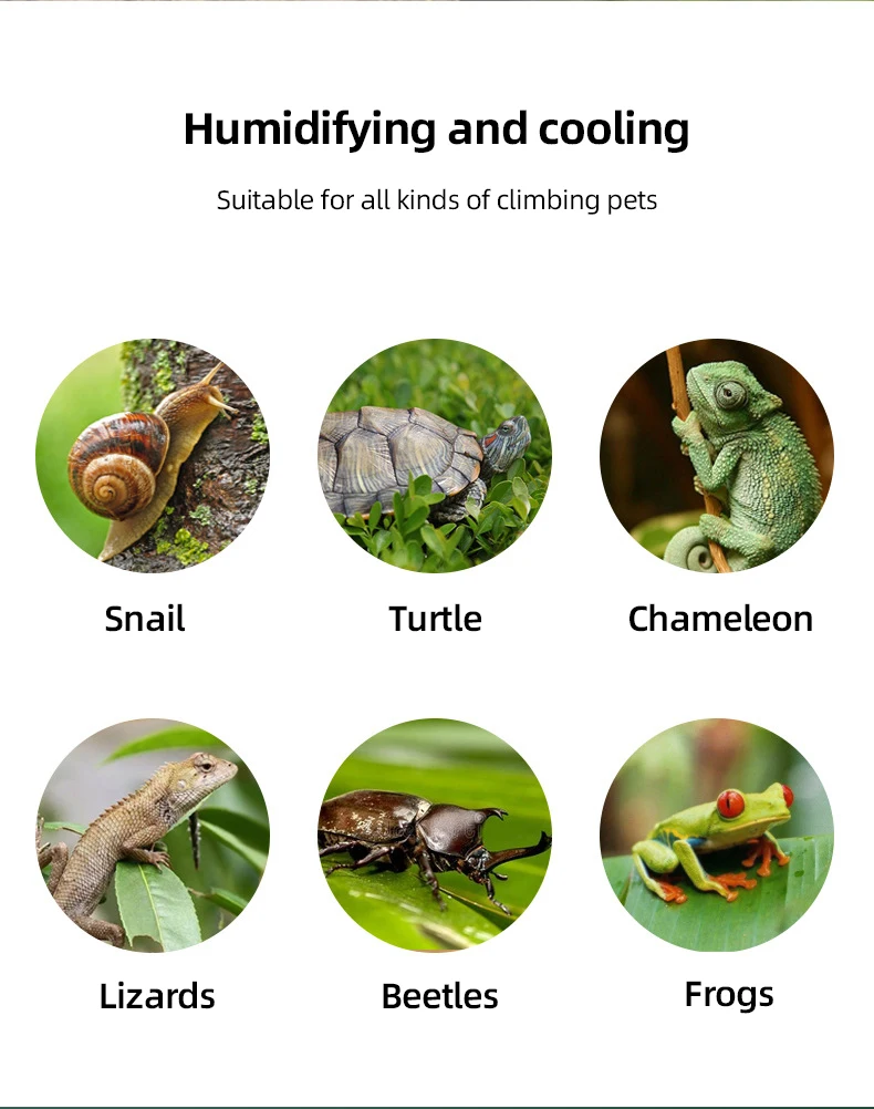 Tropical Pet Pet Air Humidifier Tropical Plant Humidifier Lizard Frog