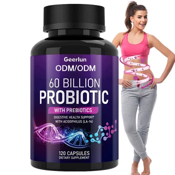 OEM Best Selling 60 Billion CFU Probiotic with Prebiotic Supplements Support Gut Health Improve Digestive Probiotics Capsules