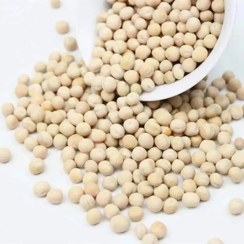 Wholesale White Peas Bean With Shell Grains Dry Bird Food Pigeon Feed