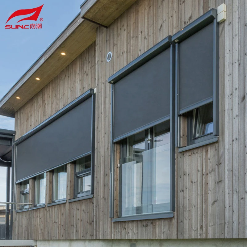 China Motorized Patio Screen Fly Screen Mesh Automatic Retractable Zip Track Screen