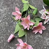 7# Pink, B11 6-head feel clematis pink