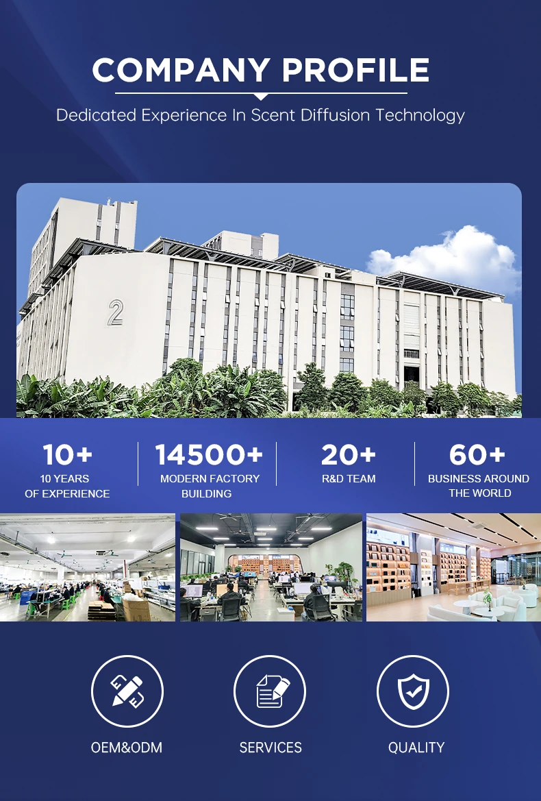 Company overview