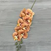 3D 9-headed Phalaenopsis orchid