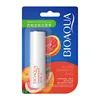Pamplemousse 4g 30335