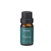 Thyme