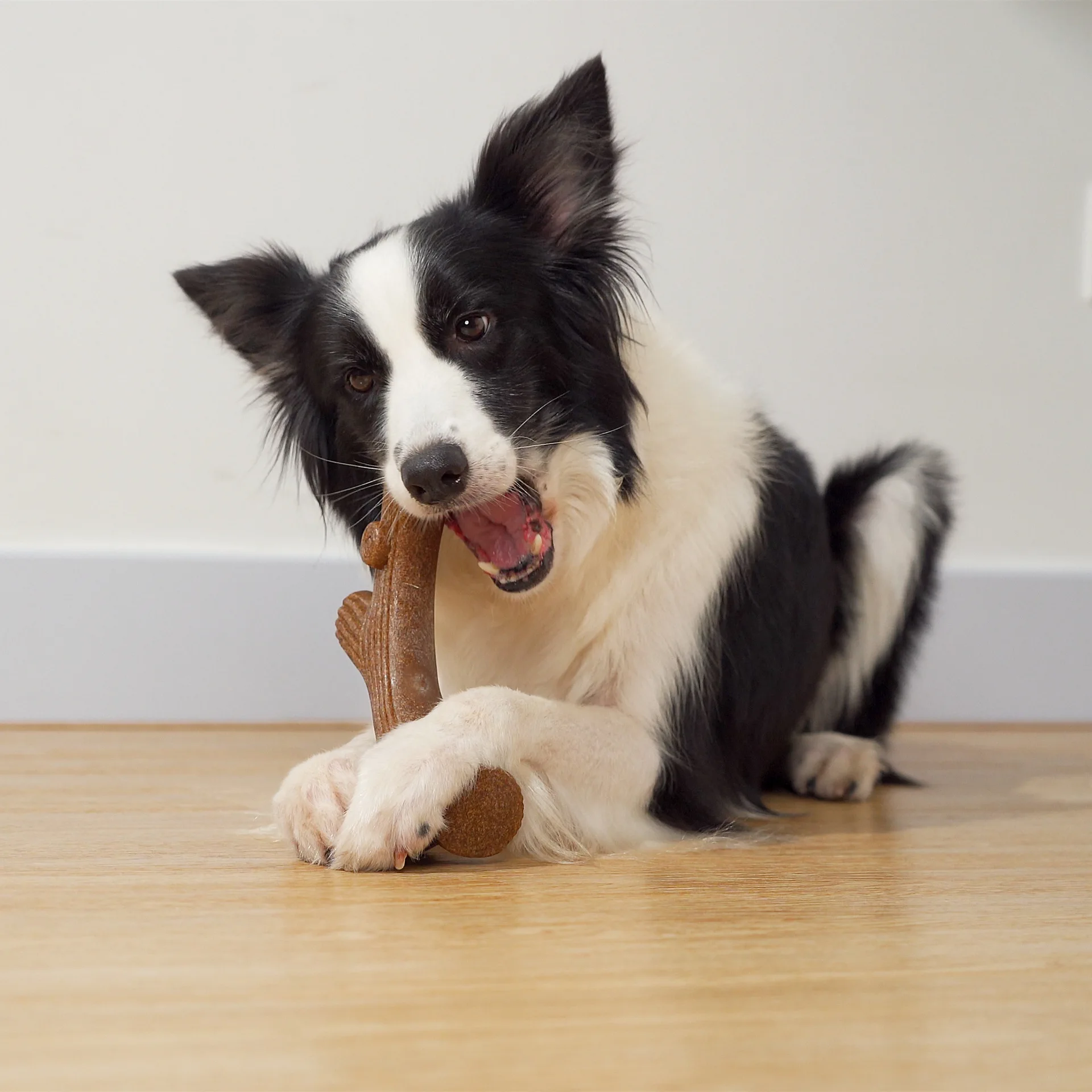 Are Hard Plastic Bones Safe For Dogs