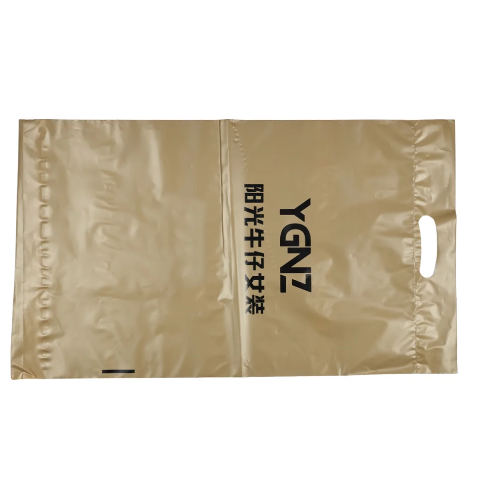 Custom Logo Printing Self Adhesive Biodegradable Plastic Express Packaging Garment Poly Mailing Bag