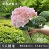 Light pink 5-headed hydrangea