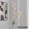 Rosa intenso