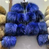 silver fox fur blue