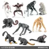 BL-1141 10 primates 60g