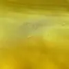 Golden yellow
