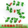 Grande vite da frutto di fragole