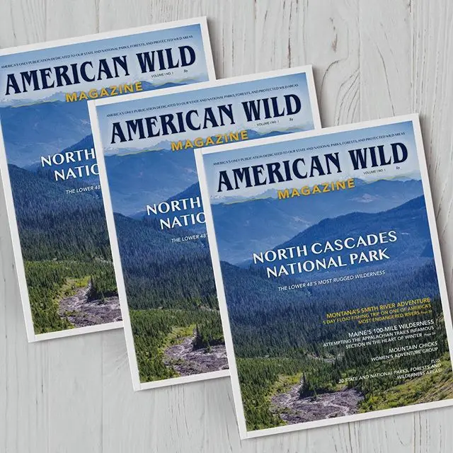 magazine printing (5).jpg