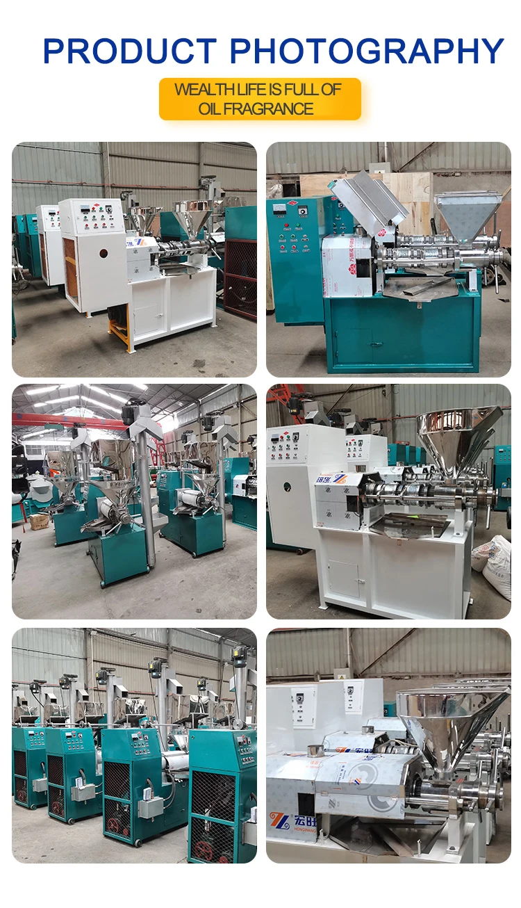 China Grape Seed Olive Oil Cold Extractor/ Oil Press Machine for Business  Second Hand Oil Press Machine