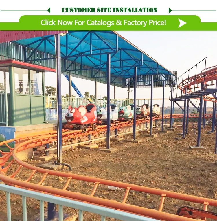 Modern Amusement Park Products Roller Coaster Equipment Theme Park