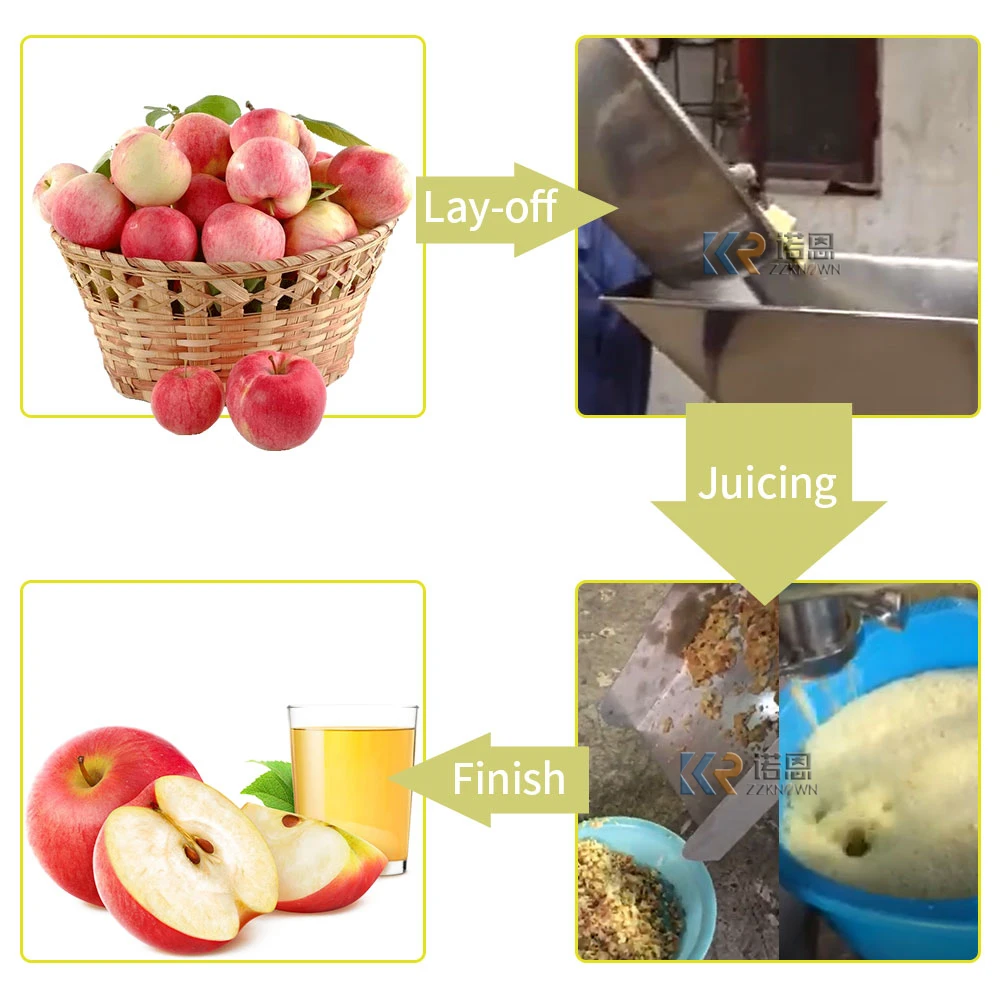 0.5t/h Electric Screw Fruit Vegetables Press Juicer Extractor Machine