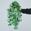 Hojas de batata colgando, verdes con puntos blancos, 3 unidades.