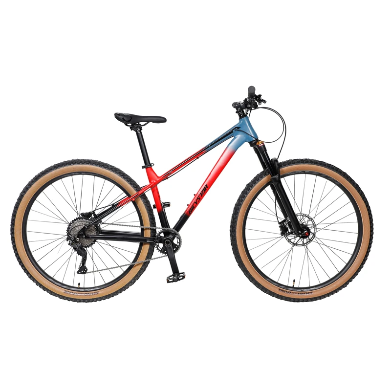 China Top Sale 28 Inch Mountain Bike Website Downhill Mountain Bike for  26 Inch /mountain Bike With 21 Speed