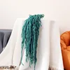Lunghezza orecchie grigio-blu: 50-80 cm