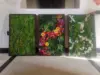 moss art frame
