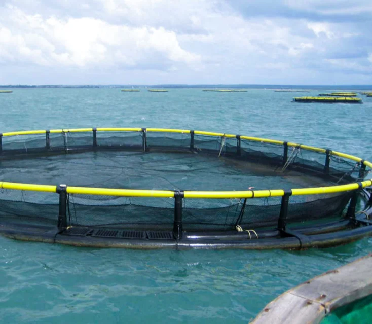 Fish Cages Aquaculture Farming Hdpe Fish Farming Cage Floating For ...