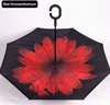 Red Chrysanthemum
