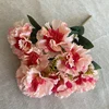 Pink Center