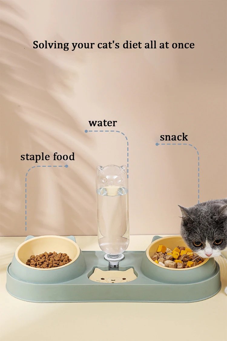 Indoor Tilted Cat Food Dishes Pet Easily Detached Wet And Dry Food Bowl