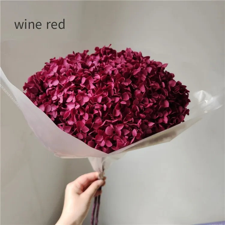 Dried Hydrangea Blooms site Top Seller Dried Natural Large Plum
