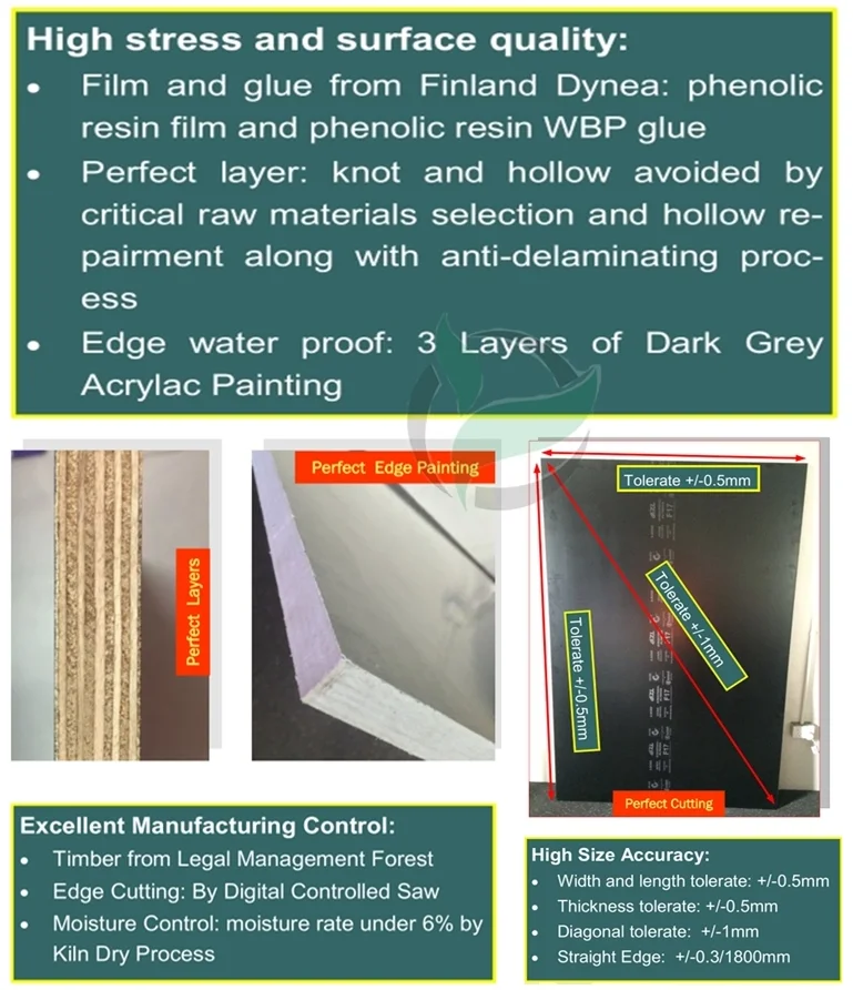 Australian Market Standards F17 Formply Plywood Eucalyptus Engineered