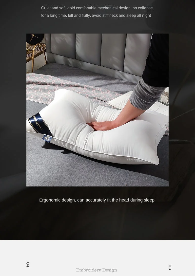 Fast Shipping Soft Fill Down Hilton Pillow 1000g With Bag Bed Neck