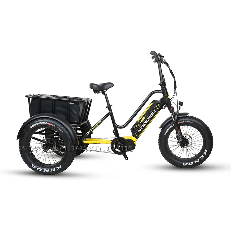 electric trike company