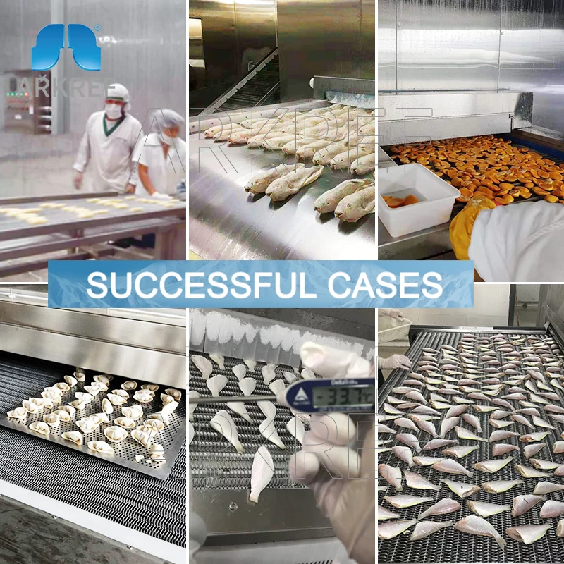 ARKREF Stainless Steel Quick Freezing Small IQF Tunnel Freezer for Food Processing