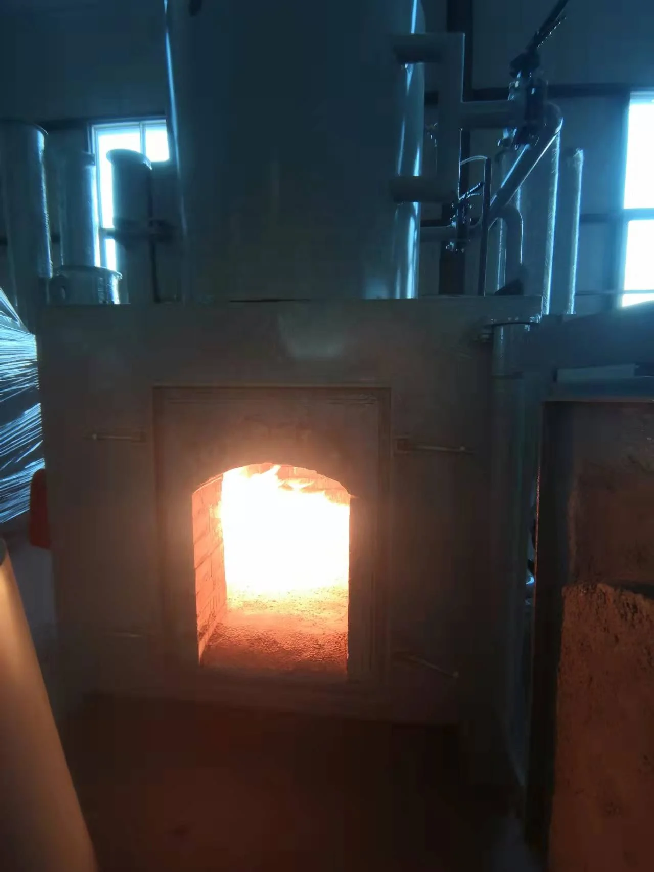 Factory Customizable Animal Pet Carcass Incinerator Cremation Furnace for Sale Animal Cremation Machine Pet Cremator Crematorium
