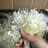 beige 5g 10-15 cm